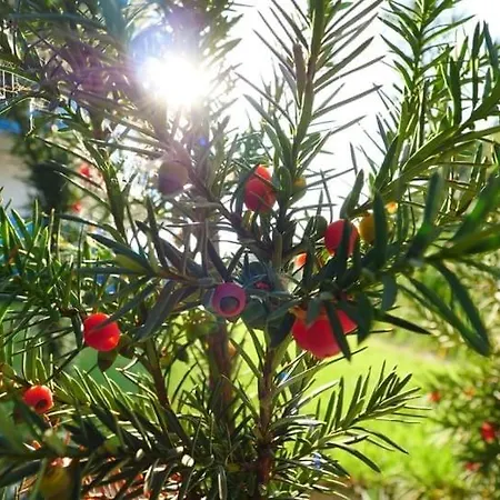 アパート Aquarius Santorini *