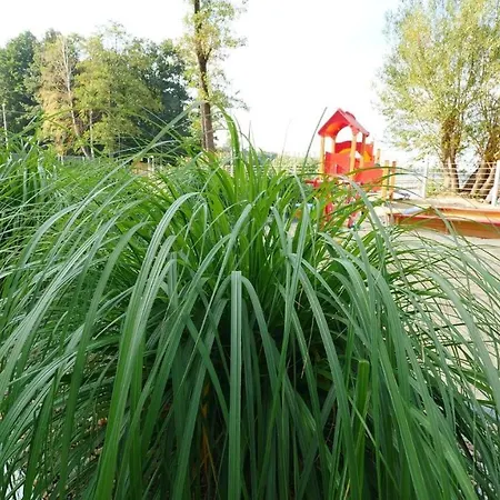 Aquarius Santorini Апартаменты