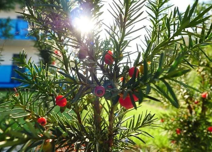 Apartment Aquarius Santorini *